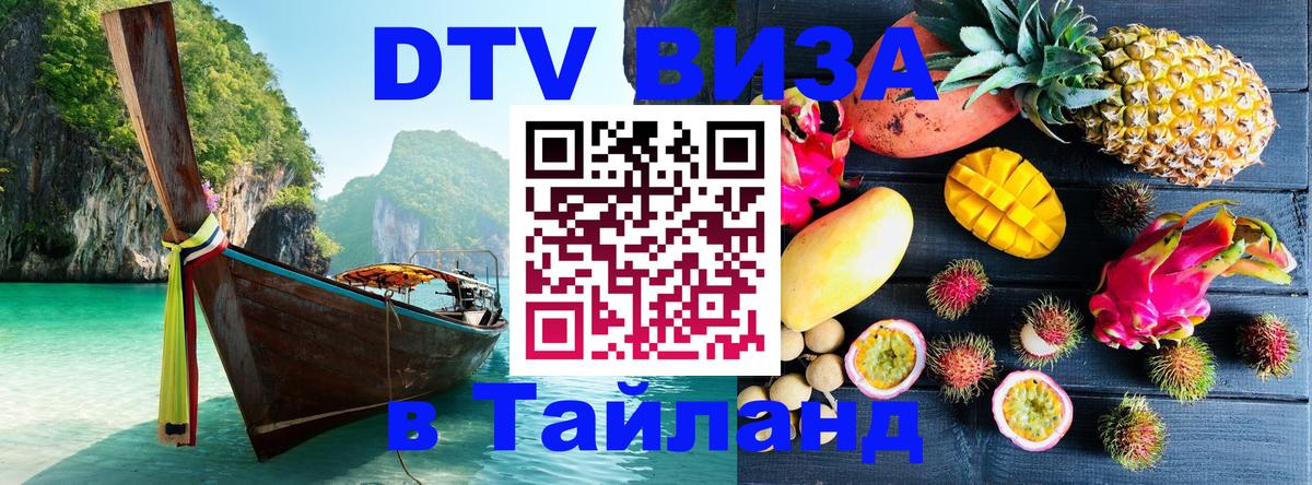 Оформление DTV визы под ключ: стоимость и тарифы, только загранпаспорт - 08.01.2026 